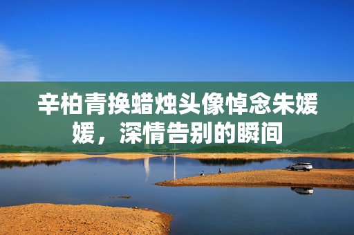 辛柏青换蜡烛头像悼念朱媛媛，深情告别的瞬间