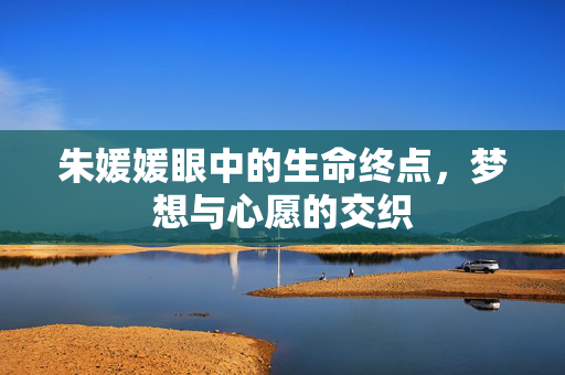 朱媛媛眼中的生命终点，梦想与心愿的交织