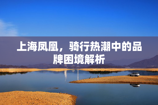 上海凤凰，骑行热潮中的品牌困境解析