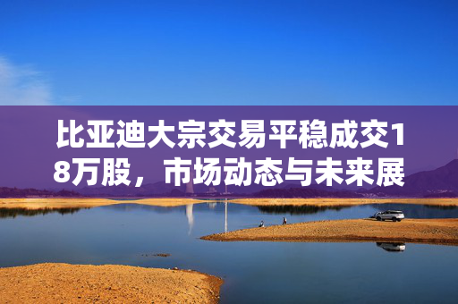 比亚迪大宗交易平稳成交18万股，市场动态与未来展望