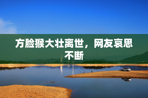 方脸猴大壮离世，网友哀思不断