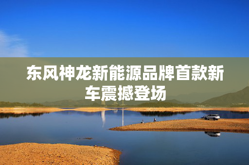 东风神龙新能源品牌首款新车震撼登场