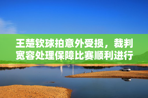 王楚钦球拍意外受损，裁判宽容处理保障比赛顺利进行