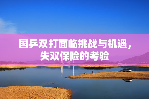国乒双打面临挑战与机遇，失双保险的考验