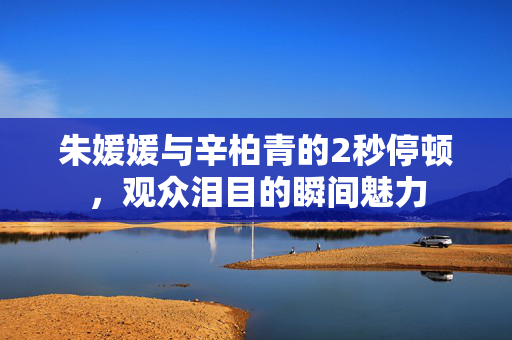 朱媛媛与辛柏青的2秒停顿，观众泪目的瞬间魅力