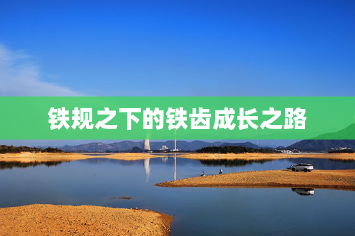 铁规之下的铁齿成长之路