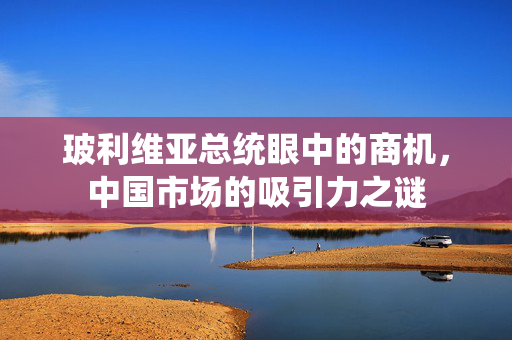玻利维亚总统眼中的商机，中国市场的吸引力之谜