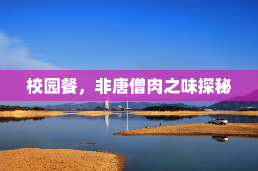 校园餐，非唐僧肉之味探秘