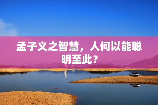 孟子义之智慧，人何以能聪明至此？