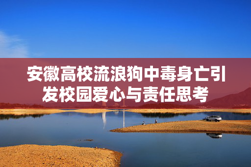 安徽高校流浪狗中毒身亡引发校园爱心与责任思考
