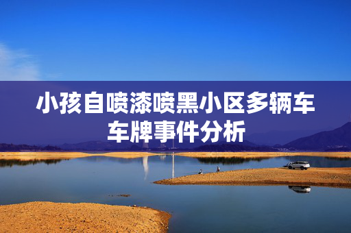 小孩自喷漆喷黑小区多辆车车牌事件分析