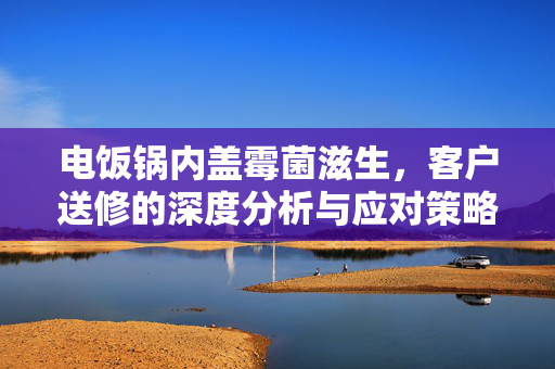 电饭锅内盖霉菌滋生，客户送修的深度分析与应对策略