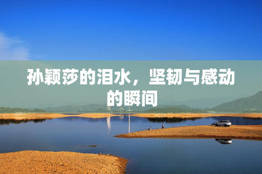 孙颖莎的泪水，坚韧与感动的瞬间