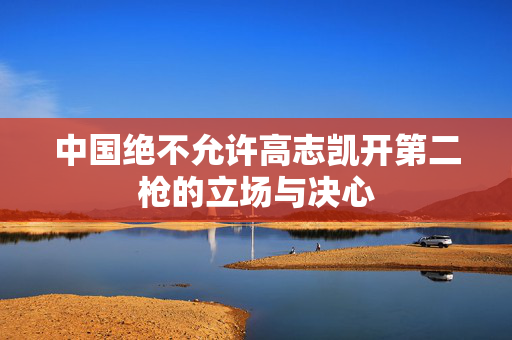 中国绝不允许高志凯开第二枪的立场与决心