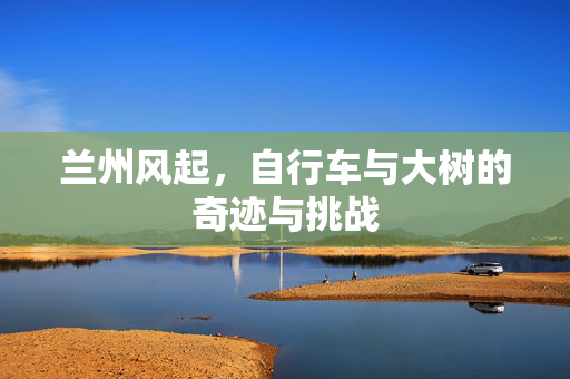 兰州风起，自行车与大树的奇迹与挑战