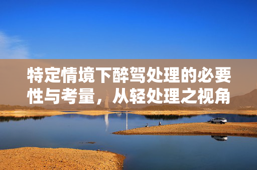 特定情境下醉驾处理的必要性与考量，从轻处理之视角分析