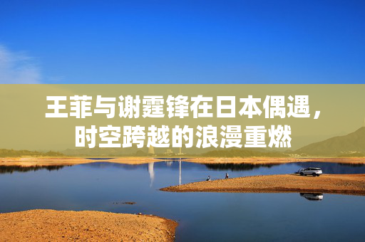王菲与谢霆锋在日本偶遇，时空跨越的浪漫重燃