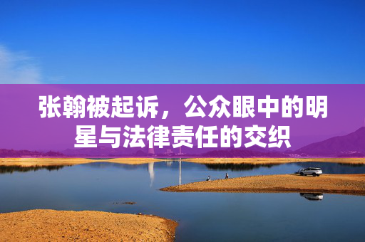 张翰被起诉，公众眼中的明星与法律责任的交织