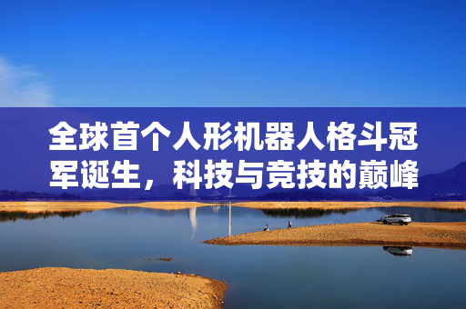 全球首个人形机器人格斗冠军诞生，科技与竞技的巅峰对决