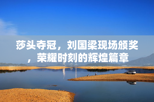 莎头夺冠，刘国梁现场颁奖，荣耀时刻的辉煌篇章
