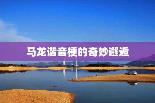 马龙谐音梗的奇妙邂逅