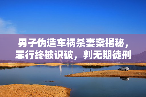 男子伪造车祸杀妻案揭秘，罪行终被识破，判无期徒刑