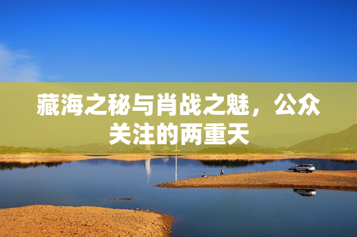 藏海之秘与肖战之魅，公众关注的两重天