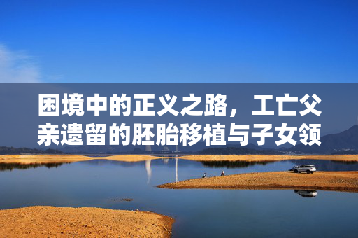 困境中的正义之路，工亡父亲遗留的胚胎移植与子女领抚恤金的挑战