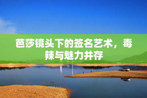 芭莎镜头下的签名艺术，毒辣与魅力并存