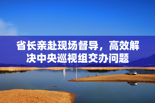 省长亲赴现场督导，高效解决中央巡视组交办问题