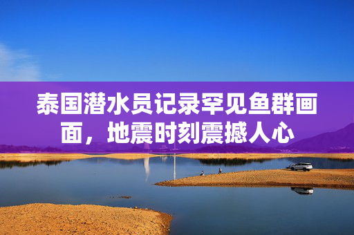 泰国潜水员记录罕见鱼群画面，地震时刻震撼人心