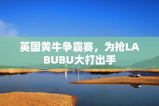 英国黄牛争霸赛，为抢LABUBU大打出手