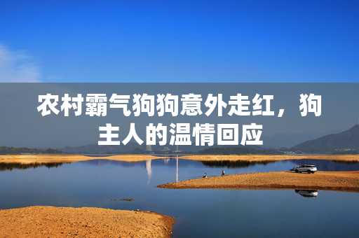 农村霸气狗狗意外走红，狗主人的温情回应