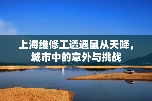 上海维修工遭遇鼠从天降，城市中的意外与挑战