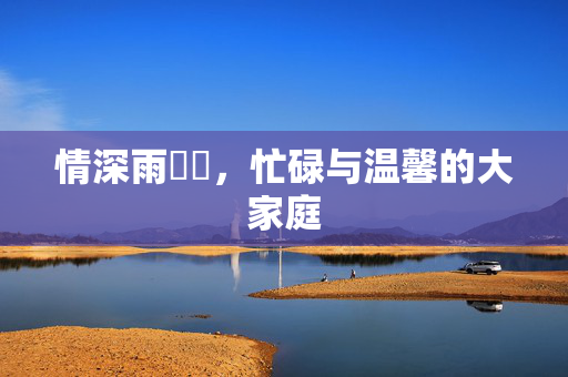 情深雨濛濛，忙碌与温馨的大家庭