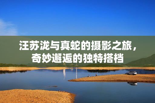 汪苏泷与真蛇的摄影之旅，奇妙邂逅的独特搭档
