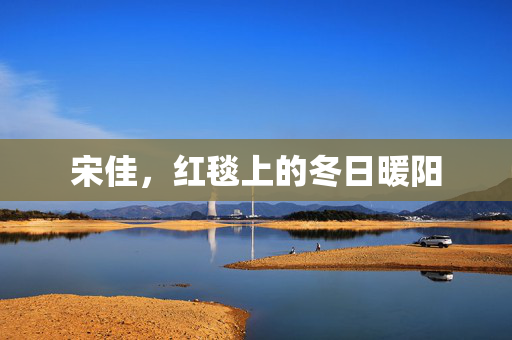 宋佳，红毯上的冬日暖阳