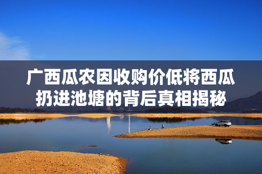 广西瓜农因收购价低将西瓜扔进池塘的背后真相揭秘