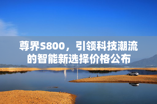 尊界S800，引领科技潮流的智能新选择价格公布