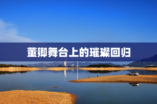 董卿舞台上的璀璨回归