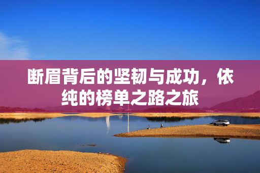 断眉背后的坚韧与成功，依纯的榜单之路之旅