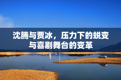 沈腾与贾冰，压力下的蜕变与喜剧舞台的变革