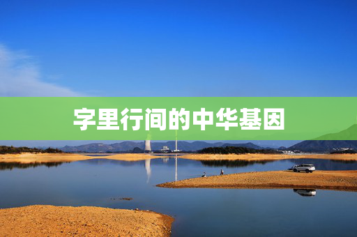 字里行间的中华基因
