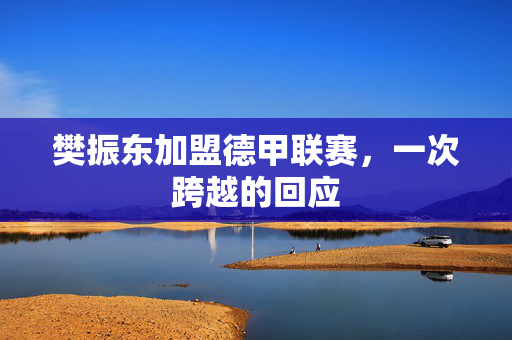 樊振东加盟德甲联赛，一次跨越的回应