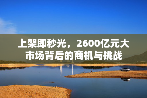 上架即秒光，2600亿元大市场背后的商机与挑战