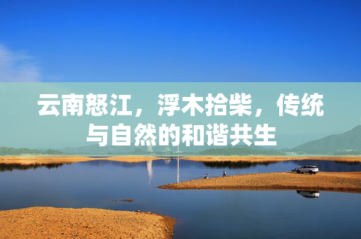 云南怒江，浮木拾柴，传统与自然的和谐共生