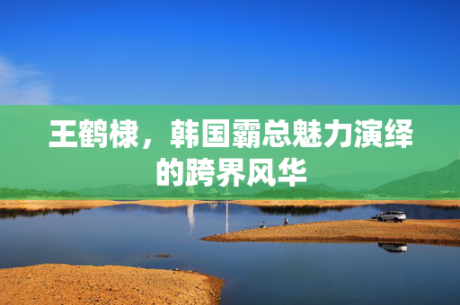 王鹤棣，韩国霸总魅力演绎的跨界风华