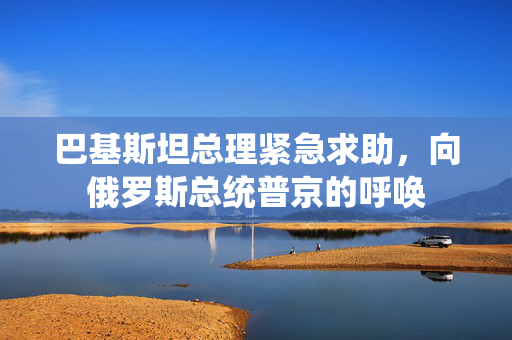 巴基斯坦总理紧急求助，向俄罗斯总统普京的呼唤