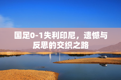 国足0-1失利印尼，遗憾与反思的交织之路