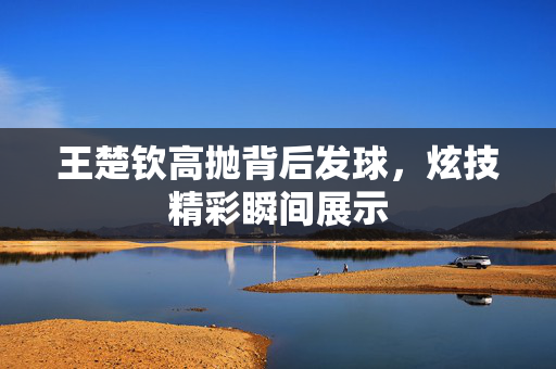 王楚钦高抛背后发球，炫技精彩瞬间展示